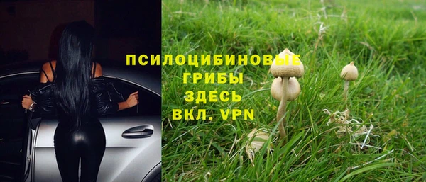 стаф Балабаново