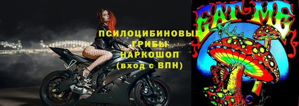 сатива Баксан